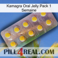 Kamagra Oral Jelly 1 Week Pack new11